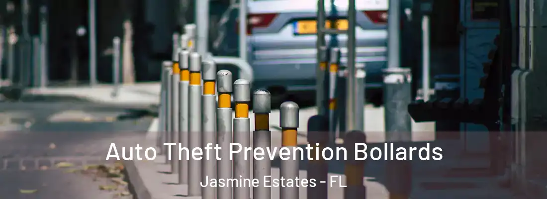  Auto Theft Prevention Bollards Jasmine Estates - FL