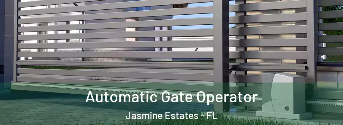 Automatic Gate Operator Jasmine Estates - FL