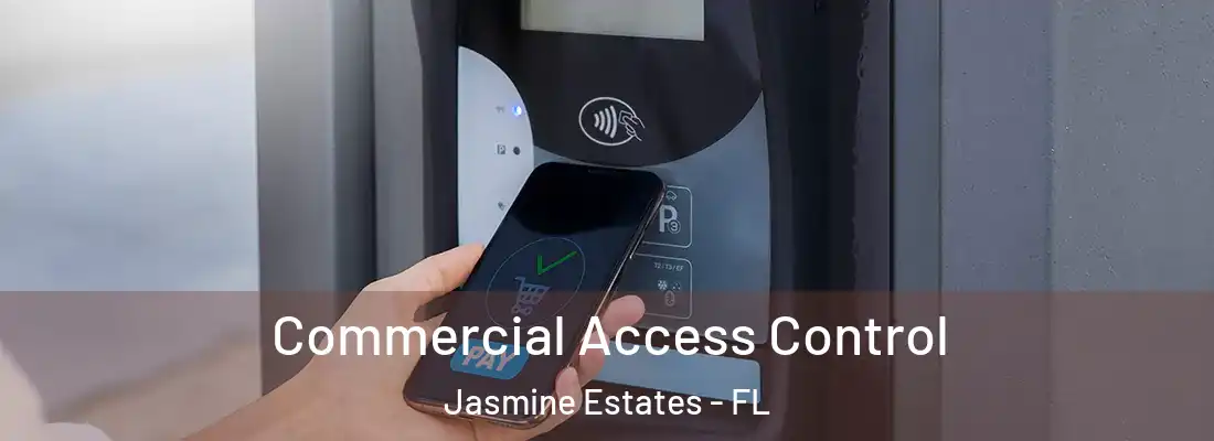 Commercial Access Control Jasmine Estates - FL
