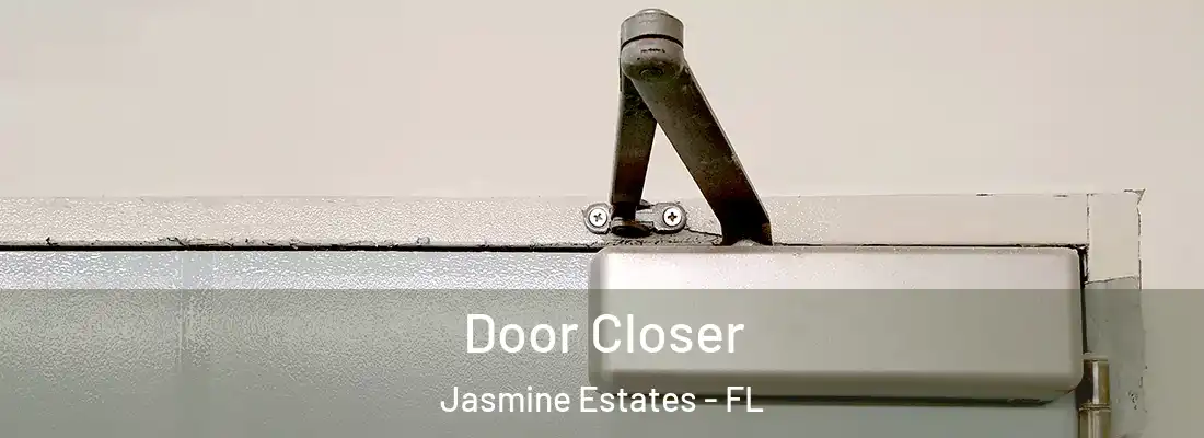 Door Closer Jasmine Estates - FL