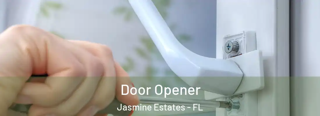  Door Opener Jasmine Estates - FL