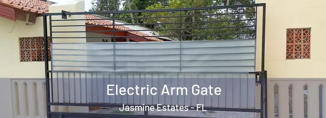  Electric Arm Gate Jasmine Estates - FL