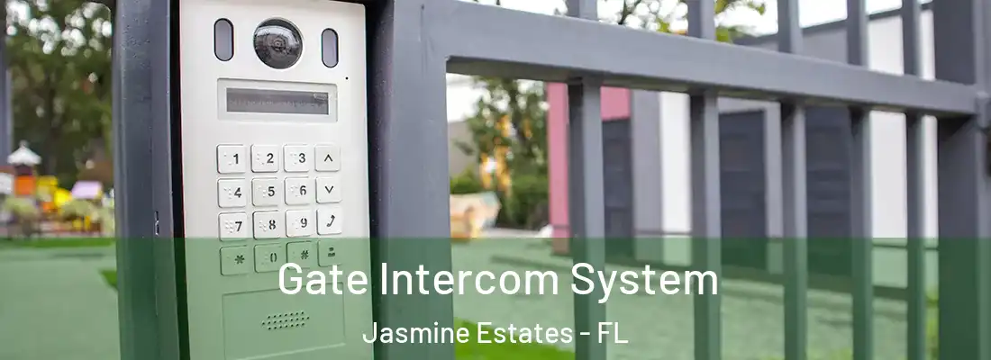 Gate Intercom System Jasmine Estates - FL
