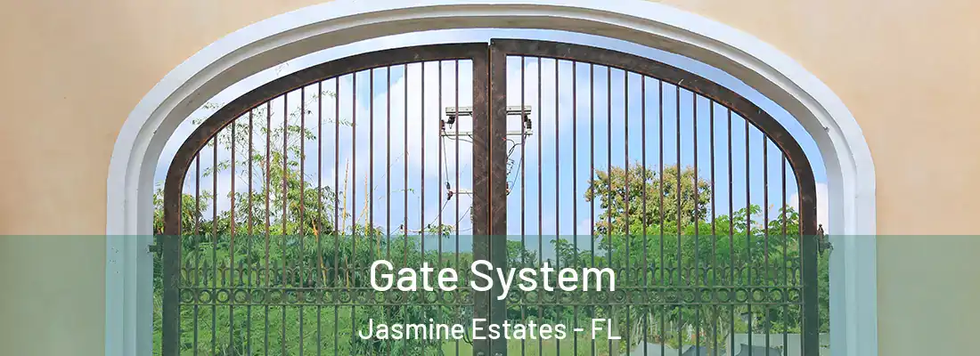  Gate System Jasmine Estates - FL