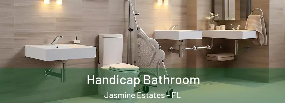  Handicap Bathroom Jasmine Estates - FL