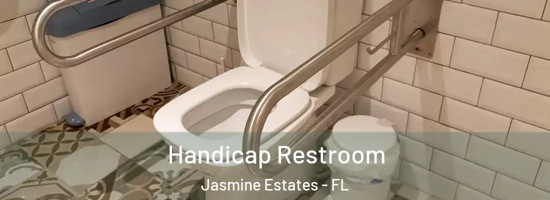  Handicap Restroom Jasmine Estates - FL