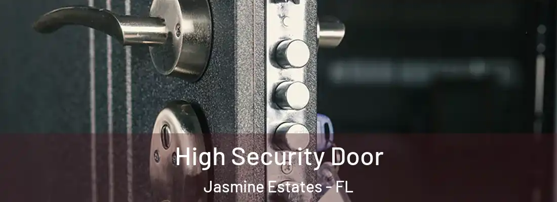  High Security Door Jasmine Estates - FL