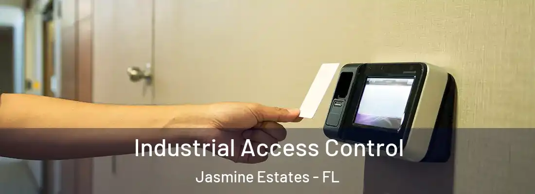  Industrial Access Control Jasmine Estates - FL