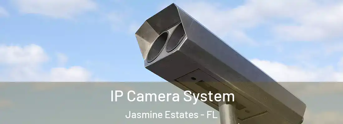  IP Camera System Jasmine Estates - FL