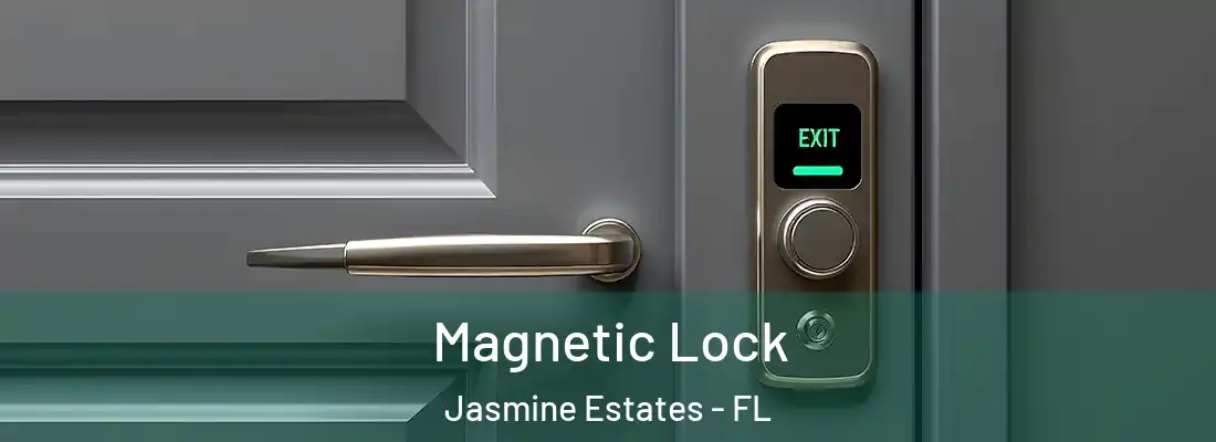  Magnetic Lock Jasmine Estates - FL