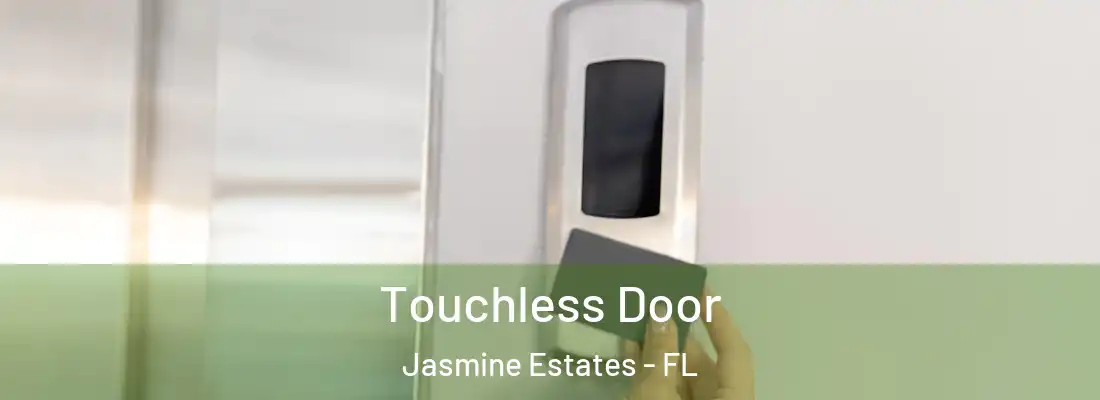 Touchless Door Jasmine Estates - FL