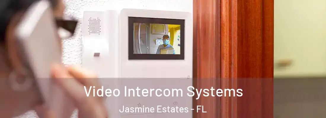 Video Intercom Systems Jasmine Estates - FL